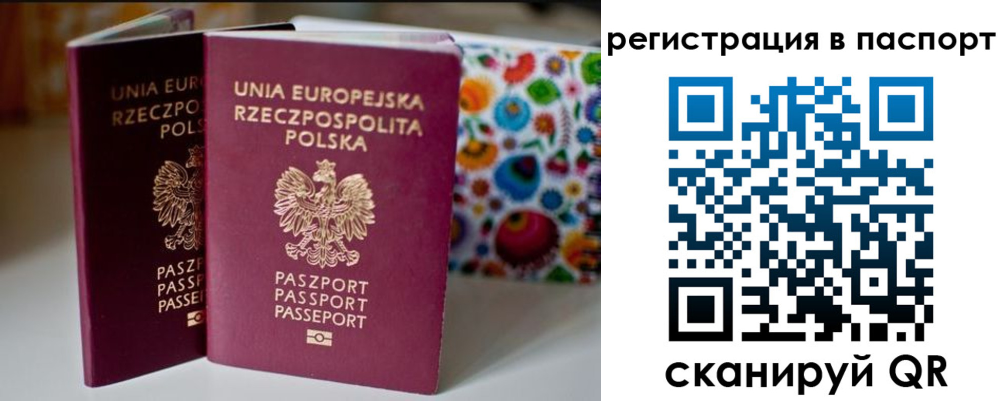 прописка в квартире в Ртищево